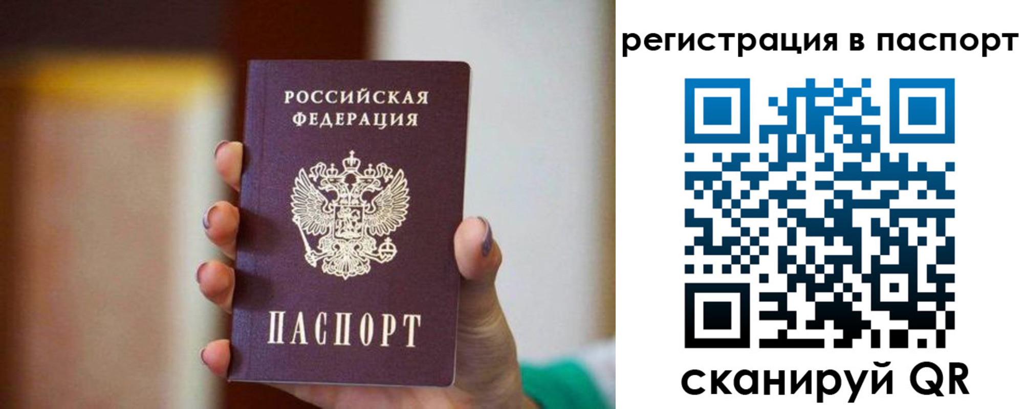 временная регистрация гарантия в Полярных Зорях