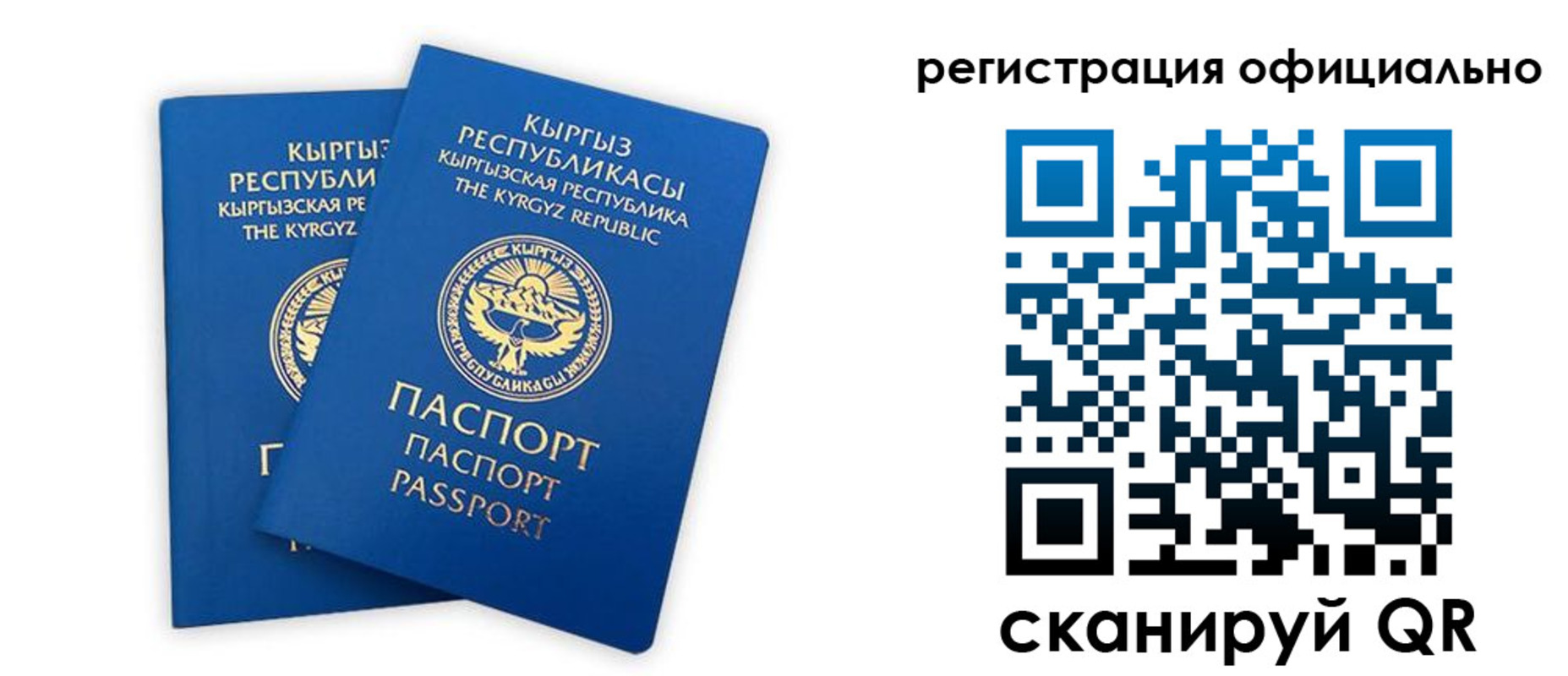 прописка поиск в Полярных Зорях